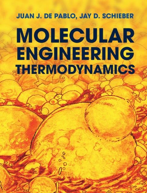 Molecular Engineering Thermodynamics, PDF eBook