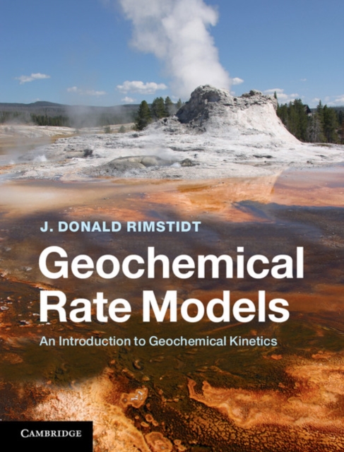 Geochemical Rate Models : An Introduction to Geochemical Kinetics, PDF eBook