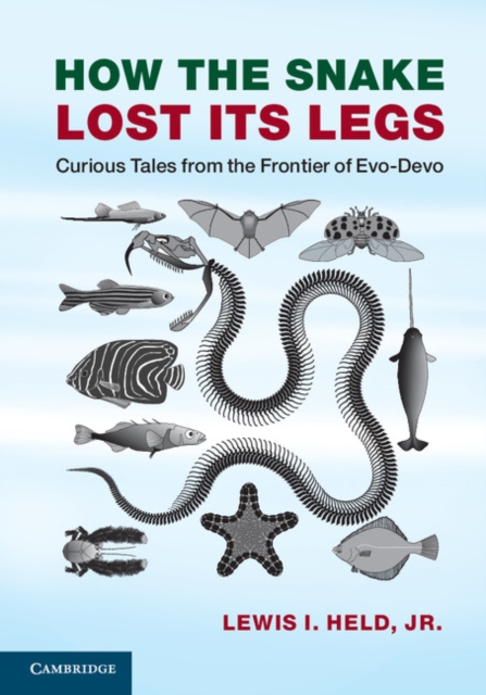 How the Snake Lost its Legs : Curious Tales from the Frontier of Evo-Devo, PDF eBook