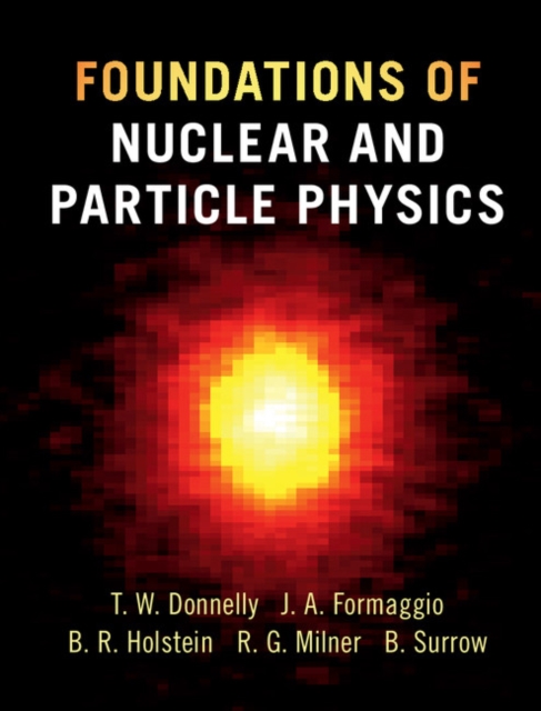 Foundations of Nuclear and Particle Physics, EPUB eBook