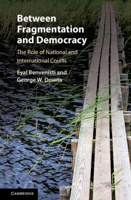 Between Fragmentation and Democracy : The Role of National and International Courts, PDF eBook