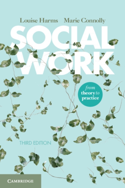 Social Work : From Theory to Practice, Paperback / softback Book