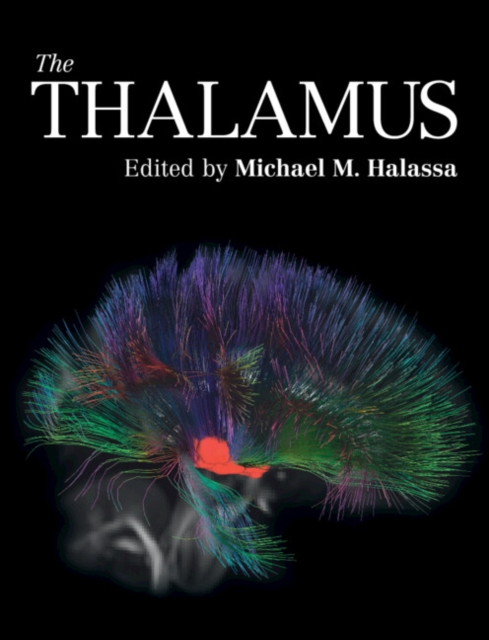 The Thalamus, Hardback Book