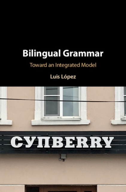 Bilingual Grammar : Toward an Integrated Model, Hardback Book