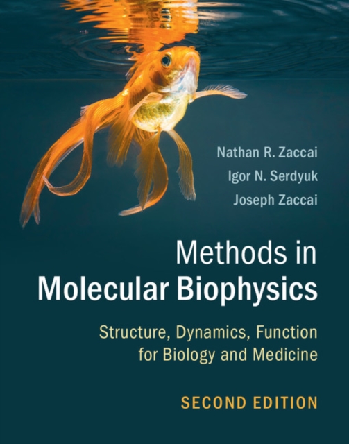 Methods in Molecular Biophysics : Structure, Dynamics, Function for Biology and Medicine, EPUB eBook