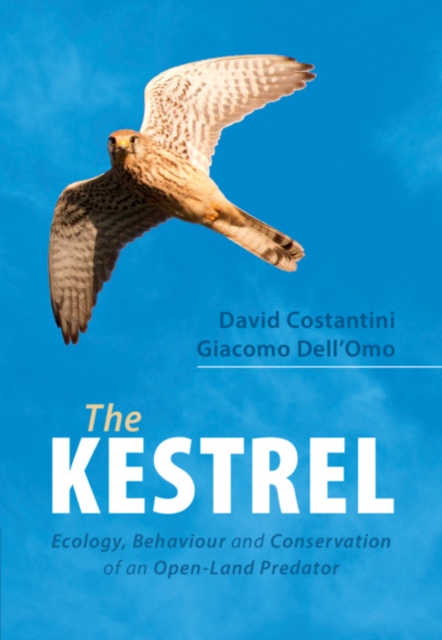 Kestrel : Ecology, Behaviour and Conservation of an Open-Land Predator, PDF eBook