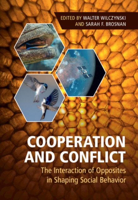 Cooperation and Conflict : The Interaction of Opposites in Shaping Social Behavior, PDF eBook
