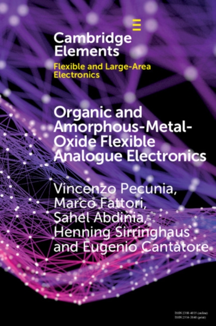 Organic and Amorphous-Metal-Oxide Flexible Analogue Electronics, EPUB eBook