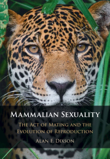 Mammalian Sexuality : The Act of Mating and the Evolution of Reproduction, PDF eBook