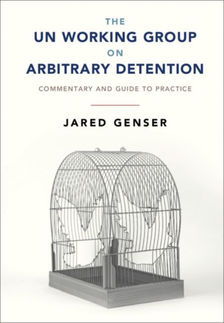 UN Working Group on Arbitrary Detention : Commentary and Guide to Practice, EPUB eBook