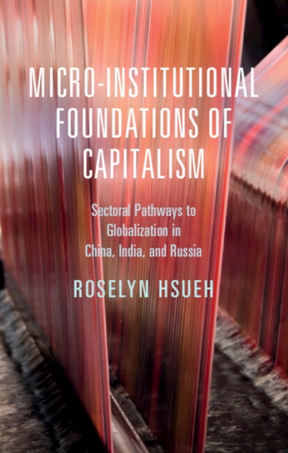 Micro-institutional Foundations of Capitalism, EPUB eBook