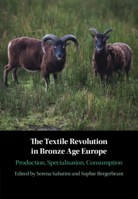 Textile Revolution in Bronze Age Europe : Production, Specialisation, Consumption, EPUB eBook
