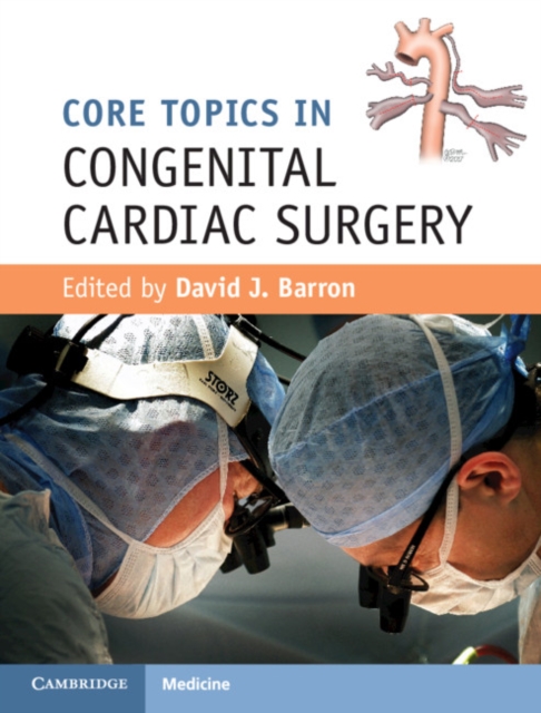 Core Topics in Congenital Cardiac Surgery, EPUB eBook
