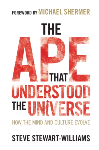 The Ape that Understood the Universe : How the Mind and Culture Evolve, Paperback / softback Book