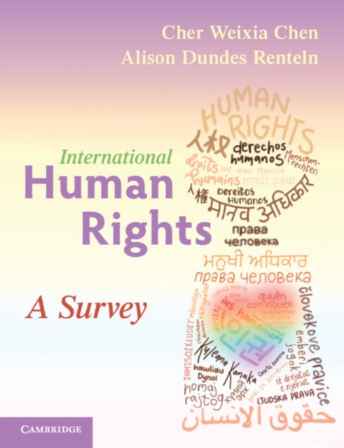 International Human Rights : A Survey, Paperback / softback Book