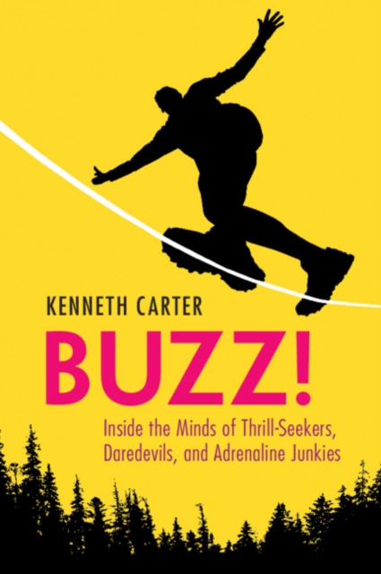 Buzz! : Inside the Minds of Thrill-Seekers, Daredevils, and Adrenaline Junkies, Paperback / softback Book