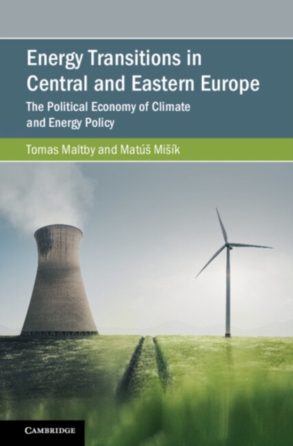 Energy Transitions in Central and Eastern Europe : The Political Economy of Climate and Energy Policy, EPUB eBook