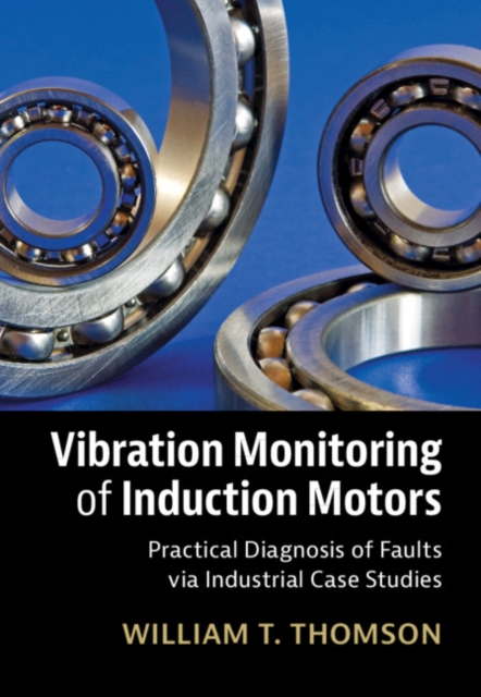 Vibration Monitoring of Induction Motors : Practical Diagnosis of Faults via Industrial Case Studies, PDF eBook