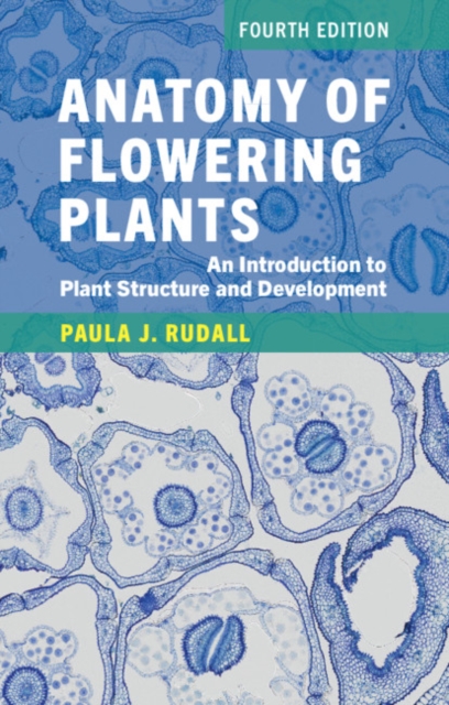 Anatomy of Flowering Plants : An Introduction to Plant Structure and Development, PDF eBook