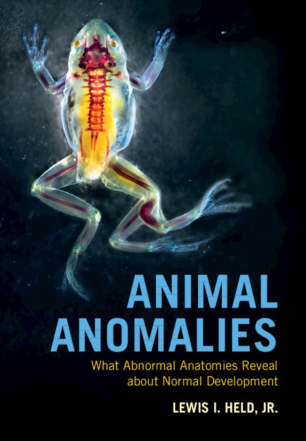 Animal Anomalies : What Abnormal Anatomies Reveal about Normal Development, Paperback / softback Book