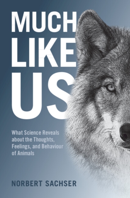 Much Like Us : What Science Reveals about the Thoughts, Feelings, and Behaviour of Animals, Hardback Book