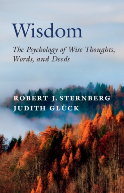 Wisdom : The Psychology of Wise Thoughts, Words, and Deeds, Paperback / softback Book