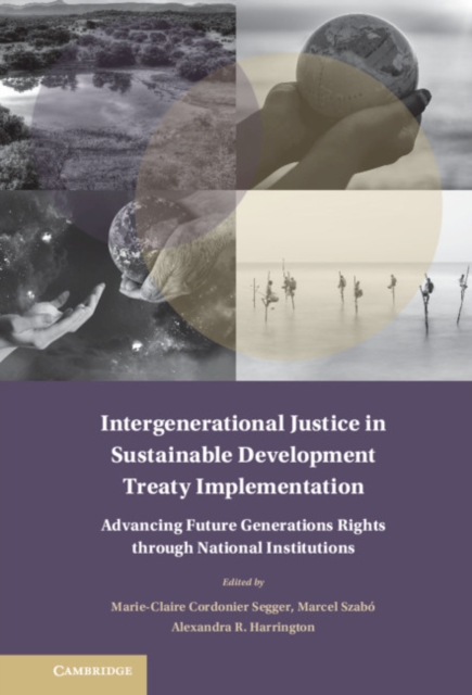 Intergenerational Justice in Sustainable Development Treaty Implementation : Advancing Future Generations Rights through National Institutions, PDF eBook
