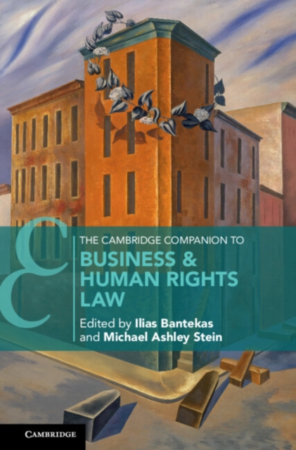The Cambridge Companion to Business and Human Rights Law, EPUB eBook