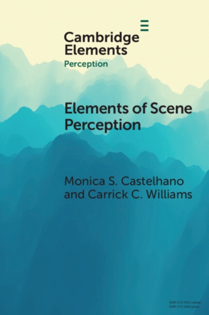 Elements of Scene Perception, EPUB eBook
