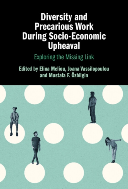 Diversity and Precarious Work During Socio-Economic Upheaval : Exploring the Missing Link, PDF eBook