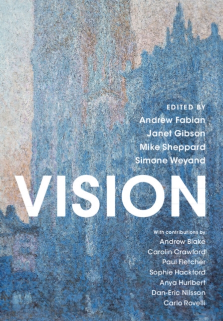 Vision, PDF eBook