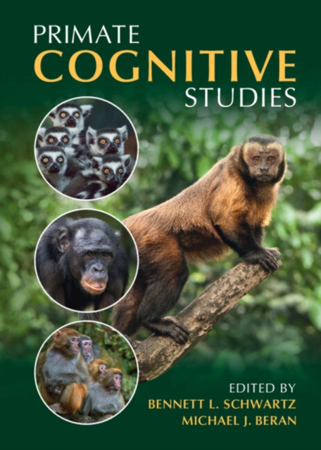 Primate Cognitive Studies, PDF eBook