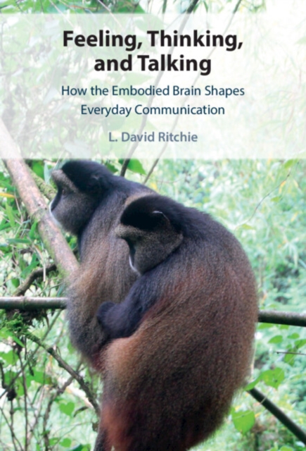 Feeling, Thinking, and Talking : How the Embodied Brain Shapes Everyday Communication, PDF eBook
