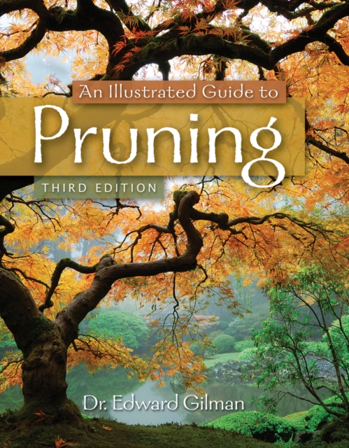 An Illustrated Guide to Pruning, Paperback / softback Book
