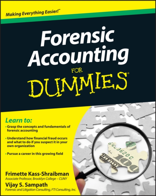 Forensic Accounting For Dummies, PDF eBook