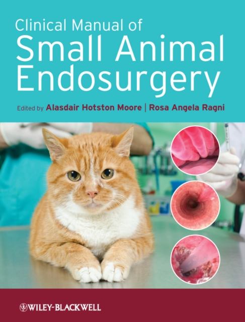 Clinical Manual of Small Animal Endosurgery, EPUB eBook