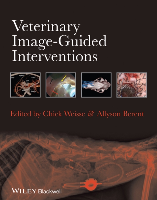 Veterinary Image-Guided Interventions, PDF eBook