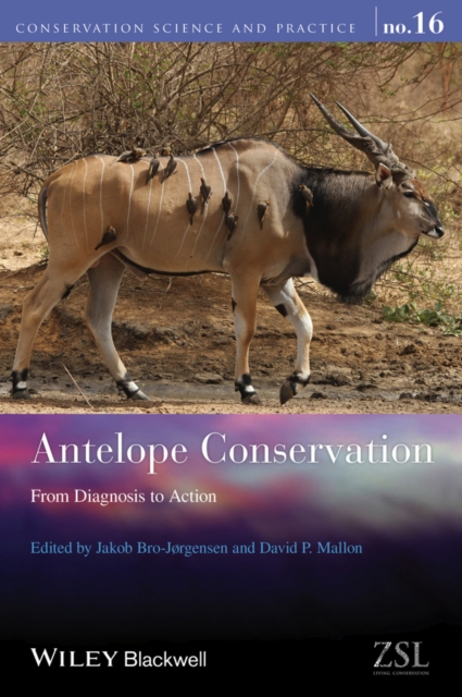 Antelope Conservation : From Diagnosis to Action, PDF eBook