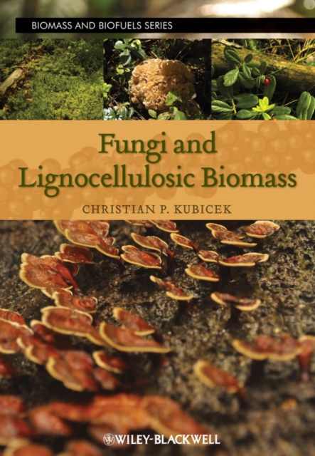 Fungi and Lignocellulosic Biomass, PDF eBook