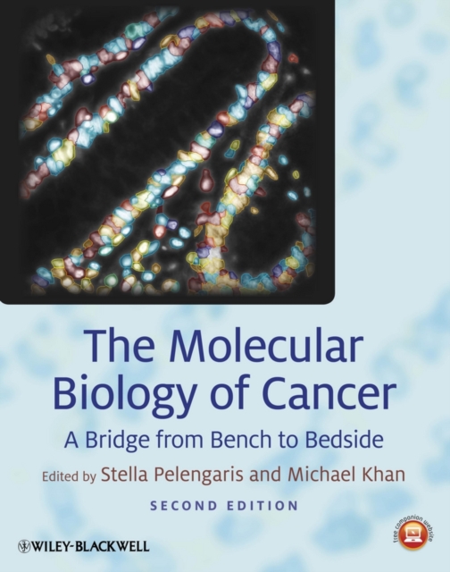 The Molecular Biology of Cancer : A Bridge from Bench to Bedside, EPUB eBook
