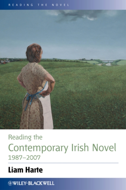 Reading the Contemporary Irish Novel 1987 - 2007, PDF eBook