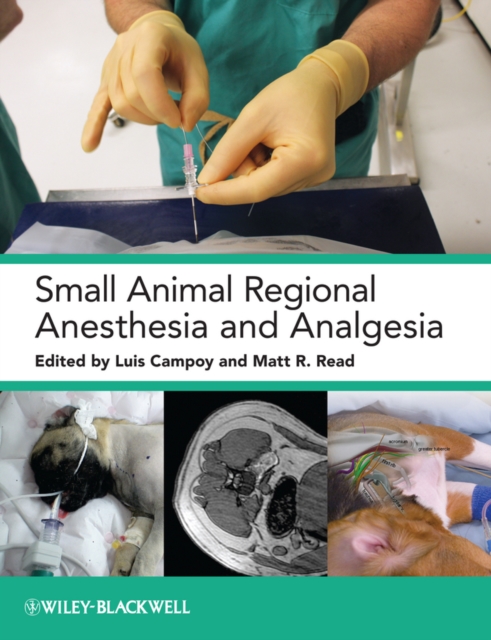 Small Animal Regional Anesthesia and Analgesia, EPUB eBook