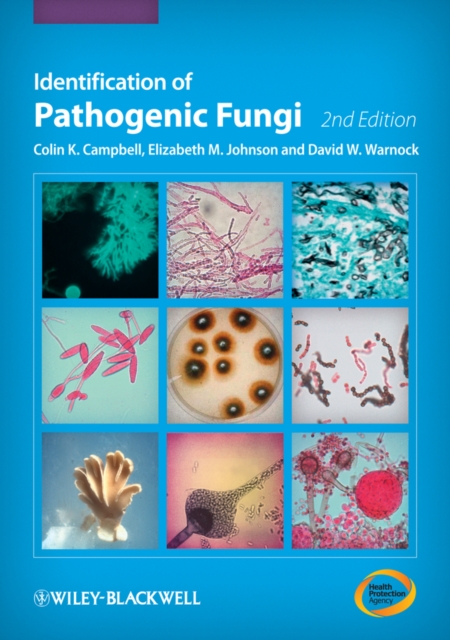 Identification of Pathogenic Fungi, PDF eBook