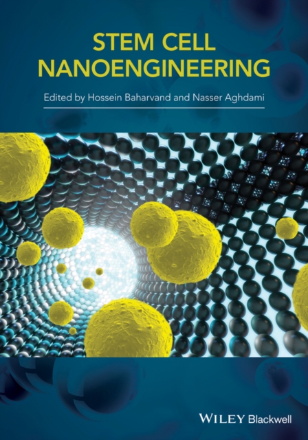 Stem-Cell Nanoengineering, EPUB eBook