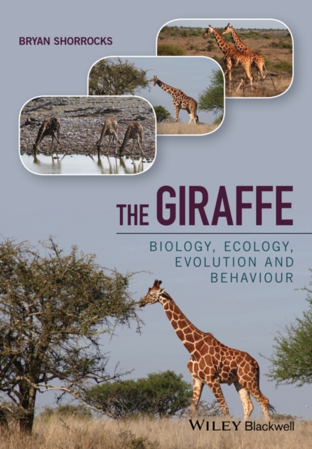 The Giraffe : Biology, Ecology, Evolution and Behaviour, PDF eBook