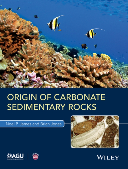 Origin of Carbonate Sedimentary Rocks, Paperback / softback Book