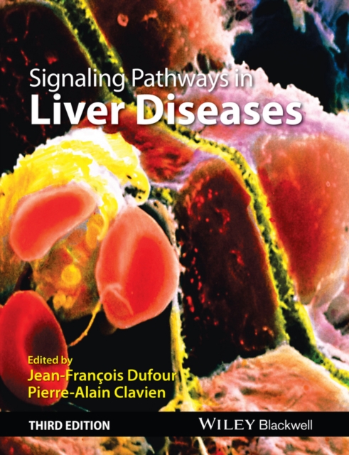 Signaling Pathways in Liver Diseases, EPUB eBook