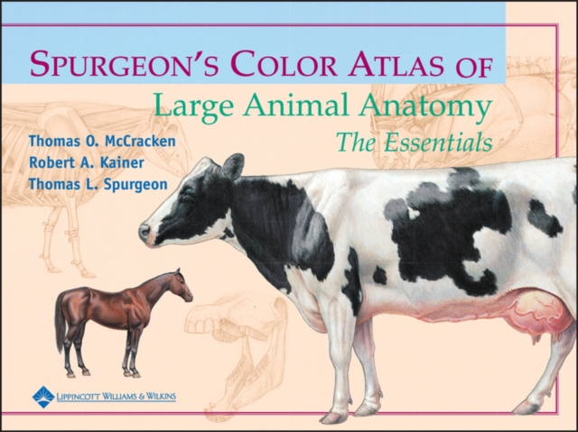 Spurgeon's Color Atlas of Large Animal Anatomy : The Essentials, PDF eBook