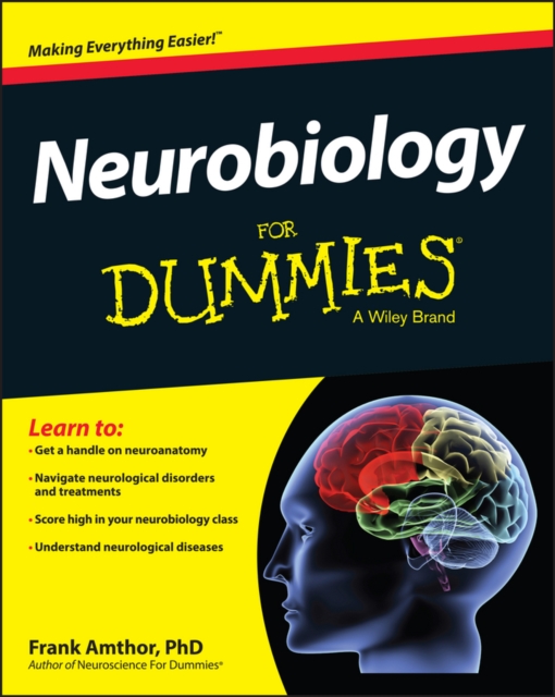 Neurobiology For Dummies, Paperback / softback Book