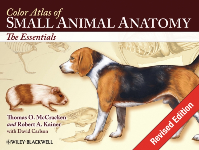 Color Atlas of Small Animal Anatomy : The Essentials, PDF eBook